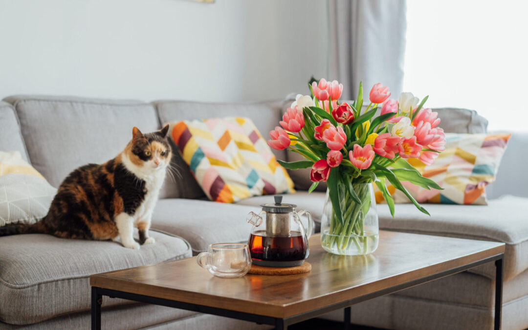 5 Home Cleaning Tips for People with Pets
